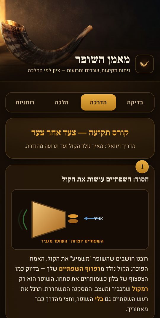 קורס תקיעה צעד אחר צעד